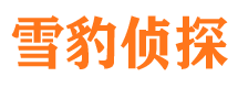 莒南市私家侦探